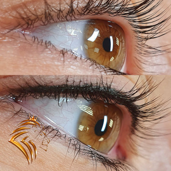 Lion Studio, Moscow Фото - 6