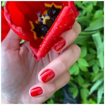 Позитано, Moscow Фото - 7