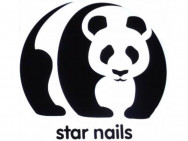 Nail Salon Panda star nails on Barb.pro