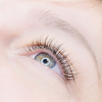 Лисица, Moscow Фото - 5