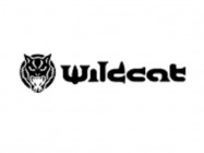 Studio tatuażu Wildcat on Barb.pro