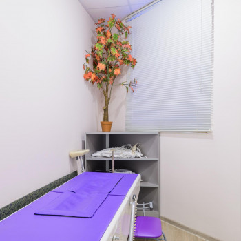 Диона, Saint Petersburg Фото - 5