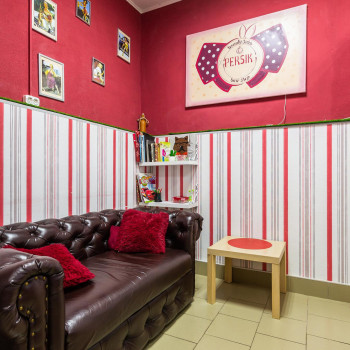 Персик, Saint Petersburg Фото - 6