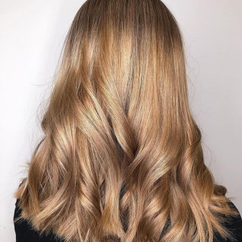 Лион, Saint Petersburg Фото - 9