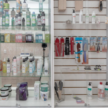 Weise Master, Санкт-Петербург Фото - 9