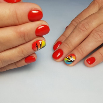 MonAmi, Санкт-Петербург Фото - 8