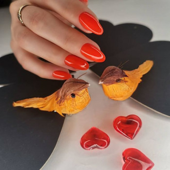 Юлия Белова , Москва Фото - 5