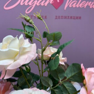 Kosmetikklinik Sugar Valeriia Saint Petersburg,Мурино, Боровая улица, 16 район Murino