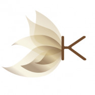 СПА-салон КЕДР Санкт-Петербург,12-я Красноармейская улица, 32Г