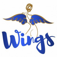 Салон красоты Wings на Barb.pro