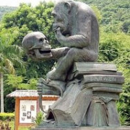 Психолог Психолог  Санкт-Петербург,проспект Славы, 43