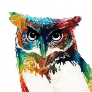 Салон красоты Color Owl на Barb.pro