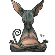 Салон красоты Студия лазерной эпиляции "Laser Chic" Красноярск,улица Копылова, 40