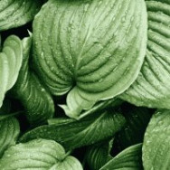 Студия лазерной эпиляции Lazer Volgograd Volgograd,Академическая улица, 22