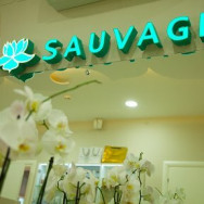 Beauty Salon Sauvage on Barb.pro