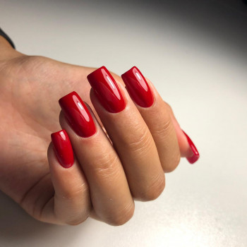 Guru, Saint Petersburg Фото - 5