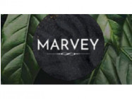 Nail Salon Marvey Saint Petersburg,Коломяжский Проспект, 28/2