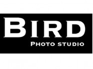 Photo Studio Bird on Barb.pro