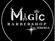 Barber Shop Magic on Barb.pro