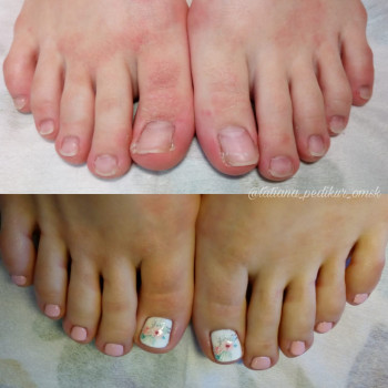 Лиса, Омск Фото - 6