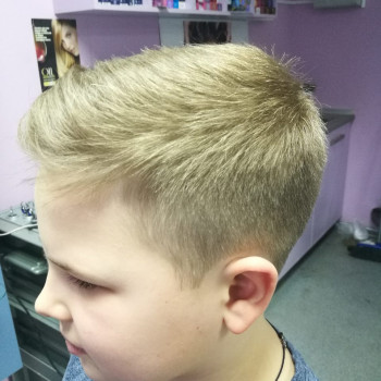 Стриж, Samara Фото - 7