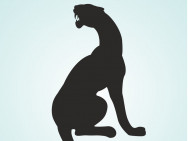 Spa Багира Krasnoyarsk,​Транзитная, 56 