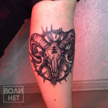 Диана Жогова , Voronezh Фото - 6