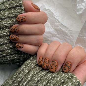 KOSMOS, Saint Petersburg Фото - 6