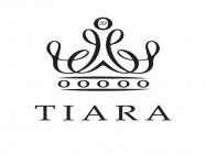 Beauty Salon Tiara on Barb.pro