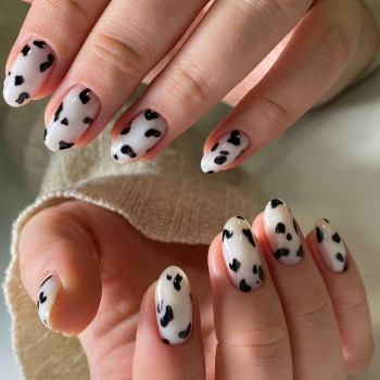 Nazerke Kozinova Studio, Astana Фото - 5