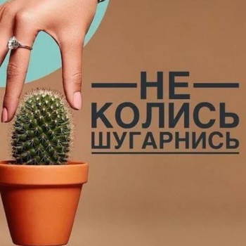 Елена Ахиярова