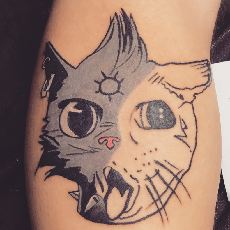 Katze lustig, photo - Tattoo-Meister Alexandra Andreeva