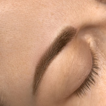 Перманент бровей. Техника Пудровое напыление.