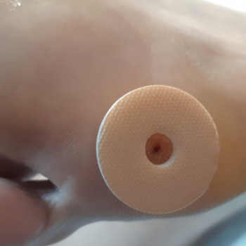 Татьяна Адаменко, Клайпеда Фото - 13