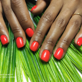 Аппаратный маникюр
                    Мастер маникюра Евгения Федирко Кладно