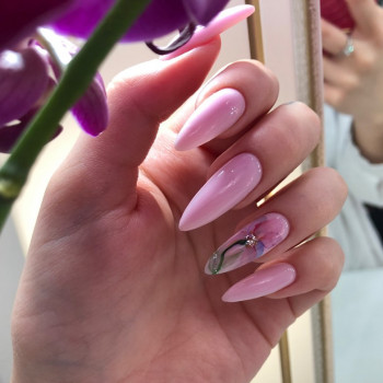 Sofi, Тараз Фото - 5