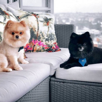 Ivan Shatrov, New York City Фото - 5