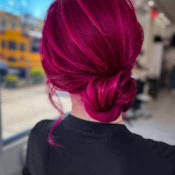 Zebra , Нью-Йорк Фото - 5