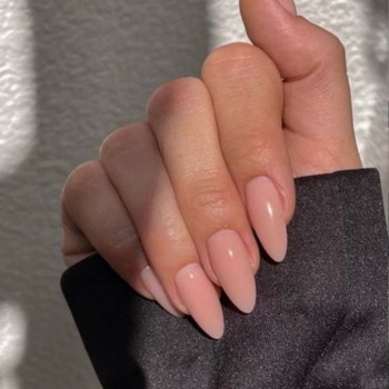 Zebra , Нью-Йорк Фото - 6