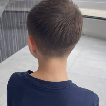 Zebra , Нью-Йорк Фото - 7