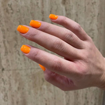 Perfect , Нью-Йорк Фото - 5