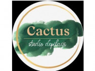 Салон красоты Cactus на Barb.pro