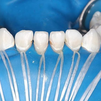 Марина Алексеевна Сафронкина, Новосибирск Фото - 5