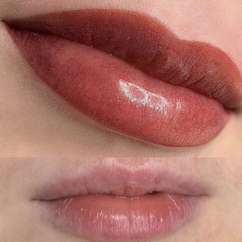 1208d1006k 1208d1006k, Krasnodar Фото - 6