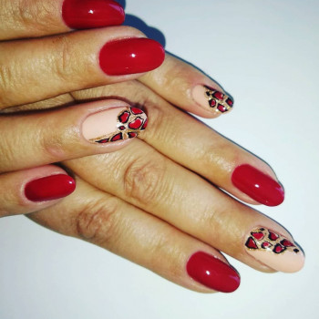 Khanna , Wroclaw Фото - 5