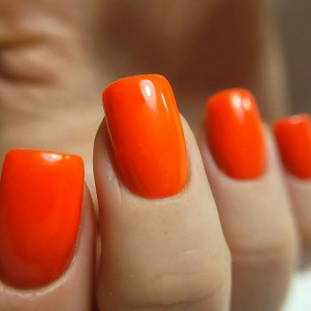 Alisa , Wroclaw Фото - 5