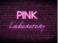 Beauty Salon Pink Hair Lab on Barb.pro