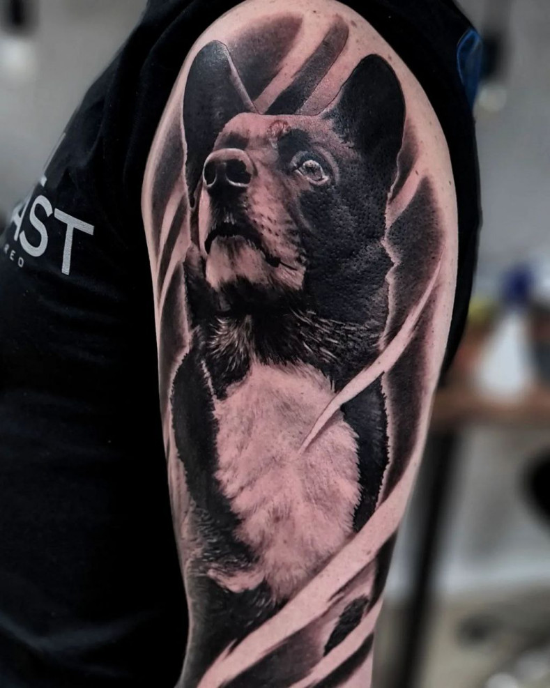 Männer Schulter Hund, photo - Tattoo-Meister Sergey Melentev