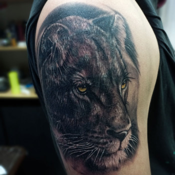 Андрей Стражко, Omsk Фото - 19