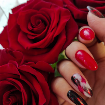 Александра Соколова